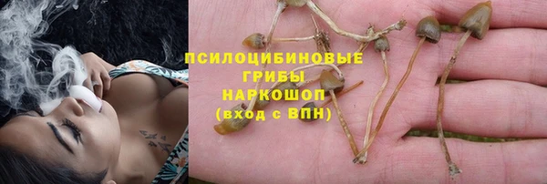 метадон Алексин
