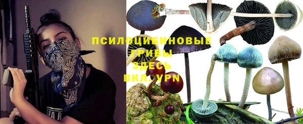 прущие грибы Слюдянка