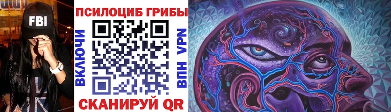 Псилоцибиновые грибы Psilocybine cubensis  сайты даркнета формула  Задонск  кракен ONION 