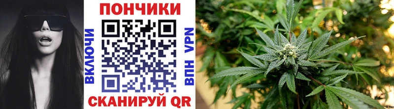 Бошки марихуана SATIVA & INDICA  Задонск 